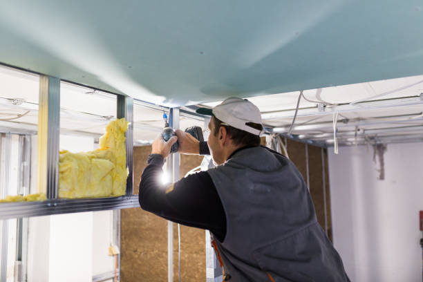 Best Energy-efficient Insulation  in Hibbing, MN