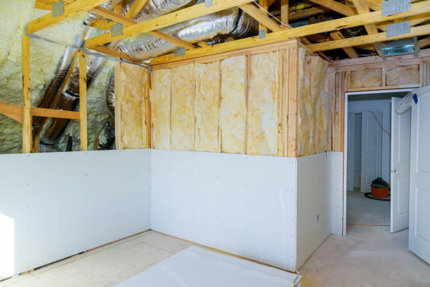 Best Energy-efficient Insulation  in Hibbing, MN